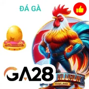 pbv88 Game 03